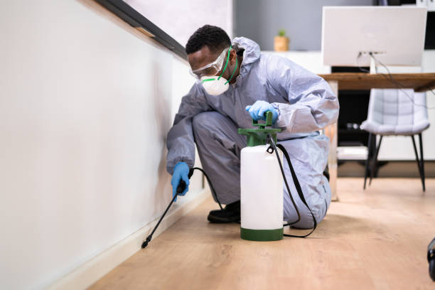 Real Estate Pest Inspections in Riverview, DE